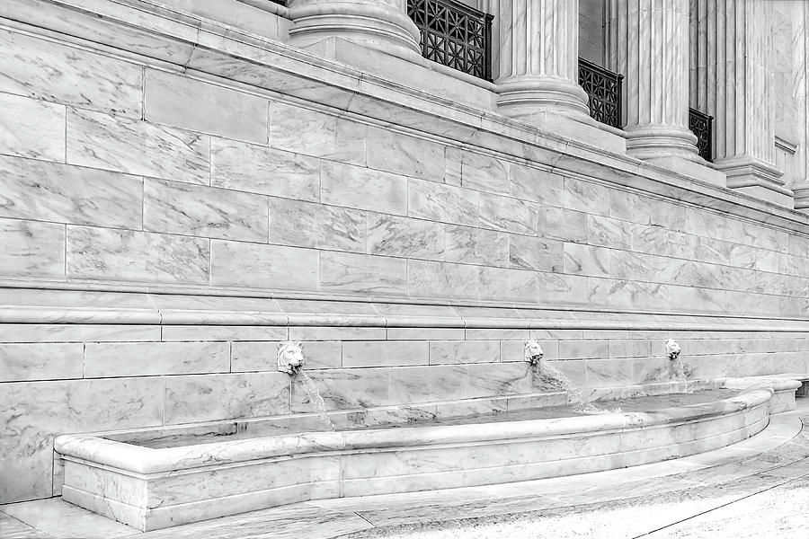 Lion Heads SCOTUS BW Photograph by Susan Candelario