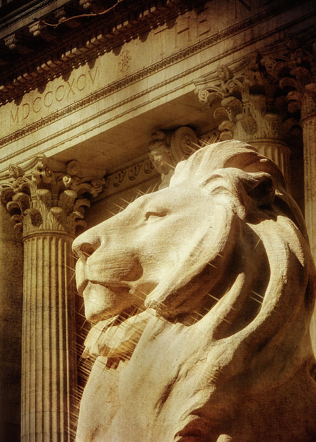 Architecture Photograph - Lion in the Sun by Jon Woodhams
