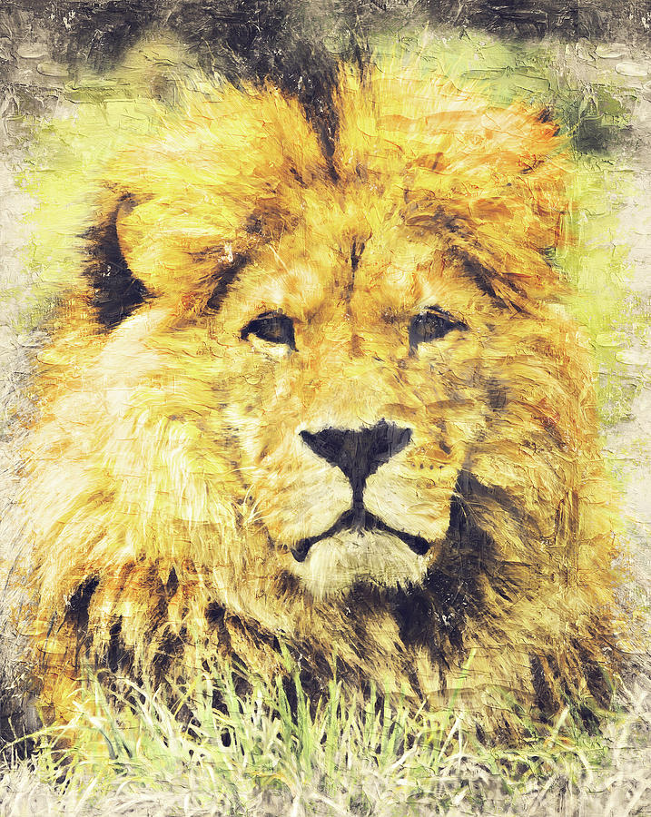 Lion King - 25 Painting by AM FineArtPrints