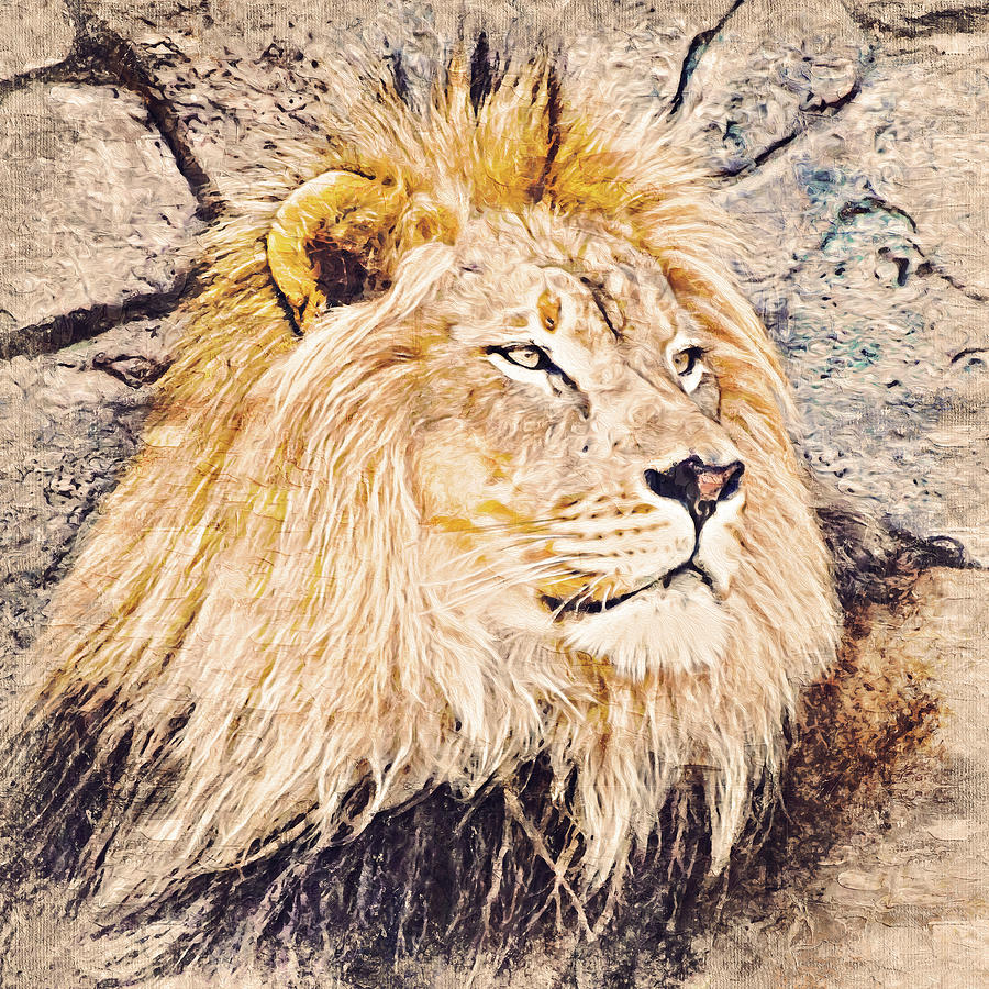 Lion King - 26 Painting by AM FineArtPrints