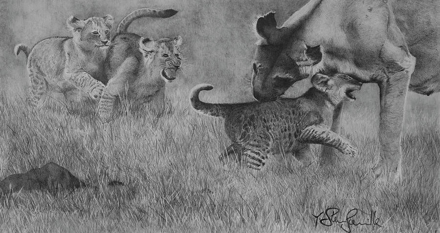 Lion Lioness and Cubs Drawing by Steve Somerville