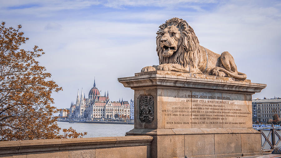 Lion of Budapest Digital Art by Kevin McClish