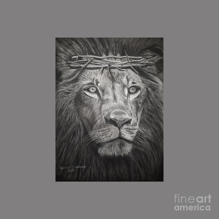 Lion Of Judah Drawing by Alison H Gros | Pixels