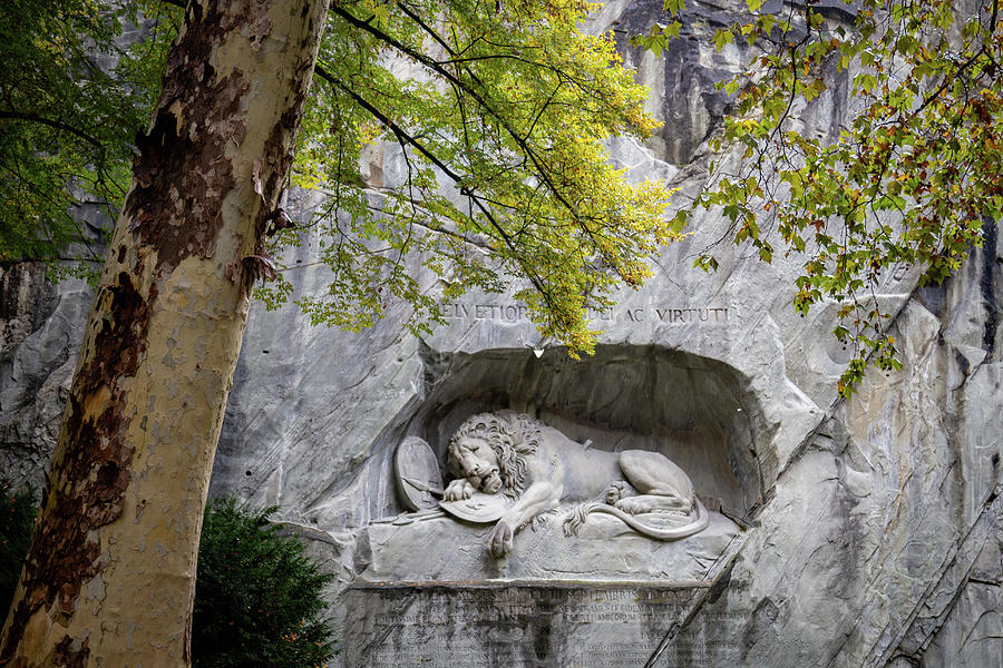 Lion of Lucerne 4 Photograph by Cindy Robinson