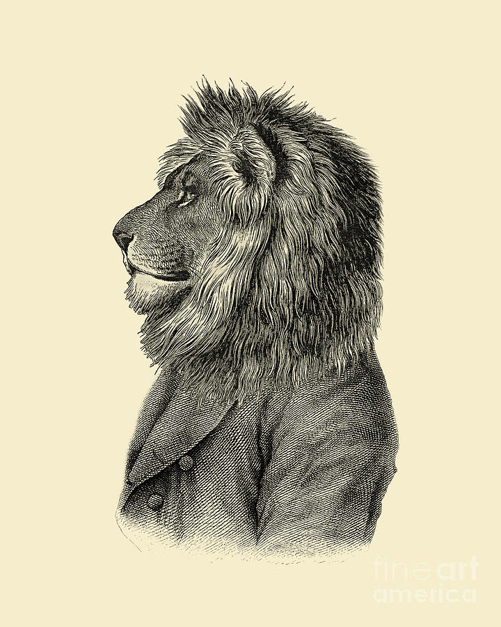 Lion Digital Art - Lion portrait in black and white by Madame Memento