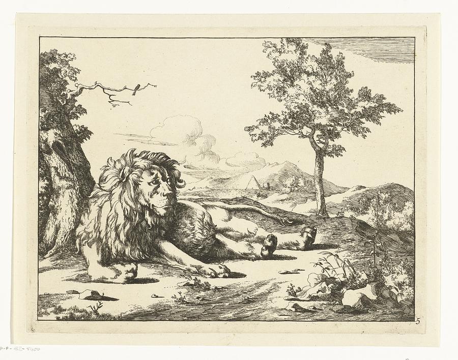 Lion Reclining Looking Sideways, Marcus de Bye, after Paulus Potter ...