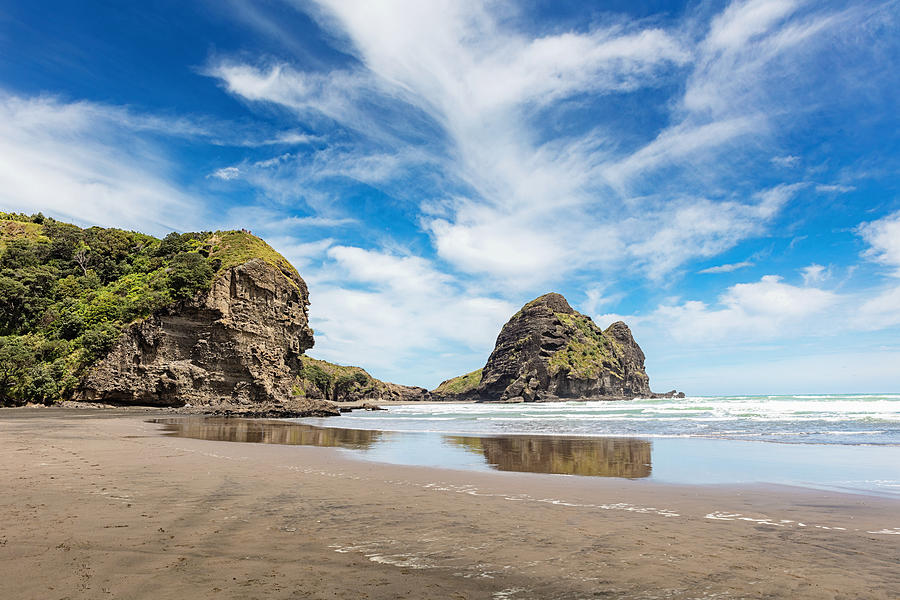 Lion Rock at Piha Beach Auckland New Zealand Photograph by Mlenny