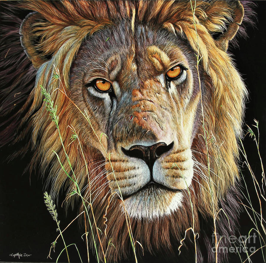 Lion Scratch Board Painting by Cynthie Fisher - Fine Art America