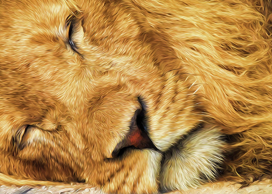 Lion Sleeps Painting by Doreen Erhardt