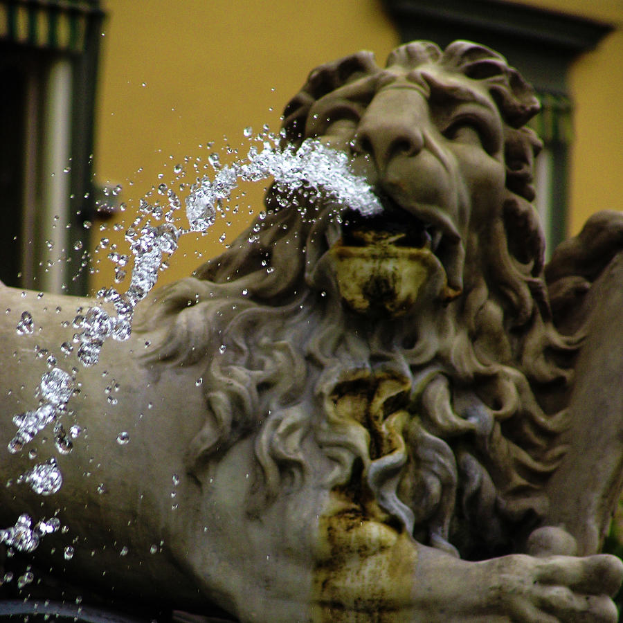 Lion Spitting Water in Naples, Italy Photograph by David Morehead