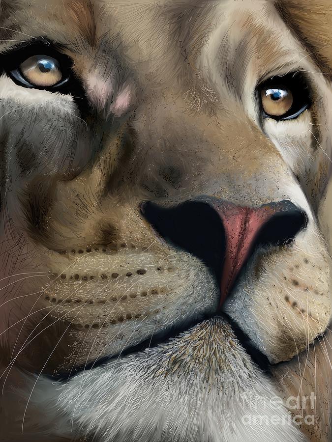 Lion study 1 Digital Art by Darren Cannell
