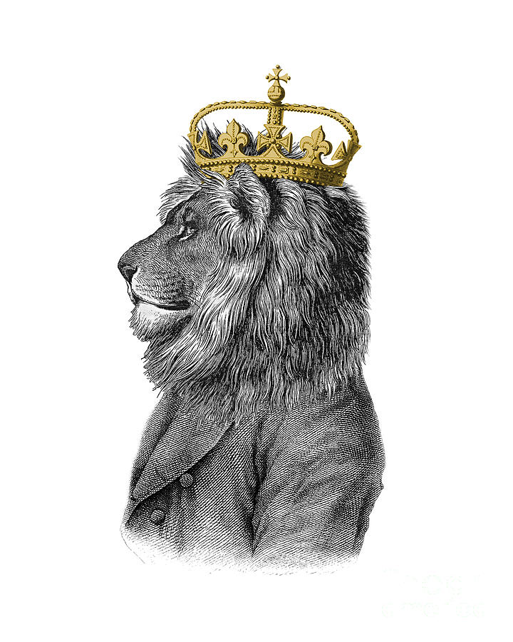Lion Digital Art - Lion the King of the jungle by Madame Memento