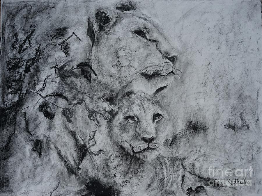Lioness And Her Cub Drawing by Radha Rao