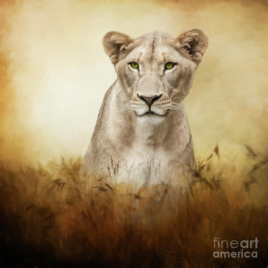 Lioness In The Prairie Mixed Media by Ed Taylor