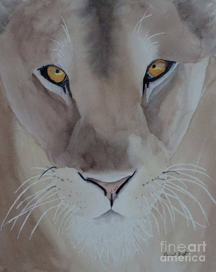 Lioness Painting by Laurel Best