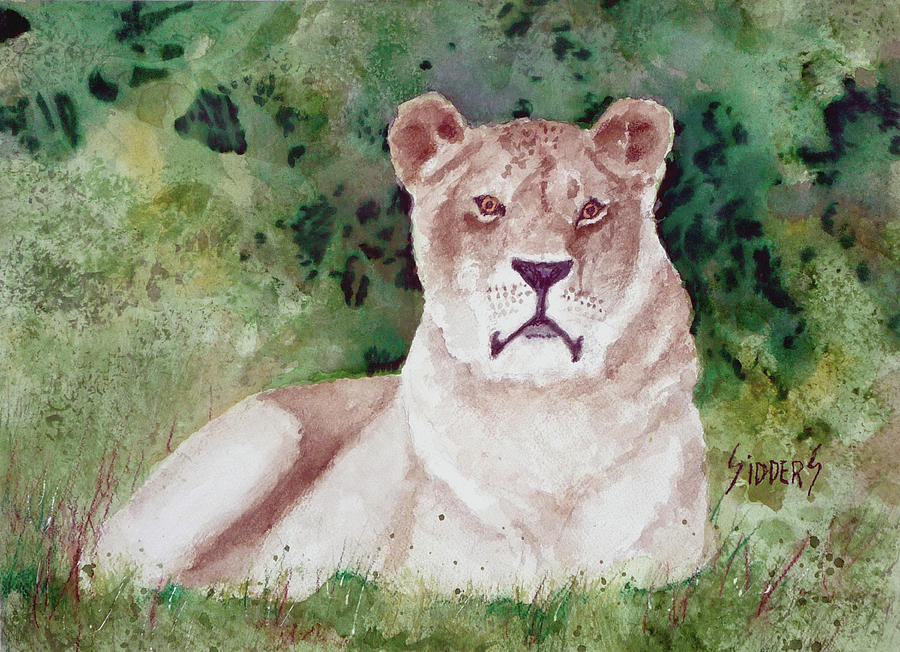 Lioness Painting by Sam Sidders