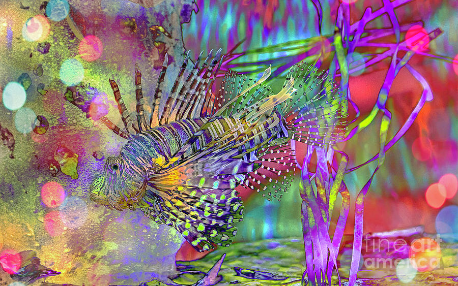 Lionfish Photograph - Lionfish Celebration by Banyan Ranch Studios Lionfish Photograph - Lionfish Celebration by Banyan Ranch Studios