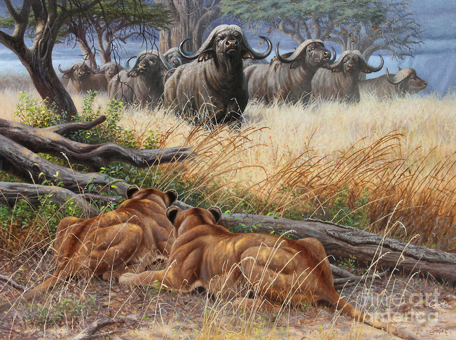 Lions And Buffalo Painting by Cynthie Fisher