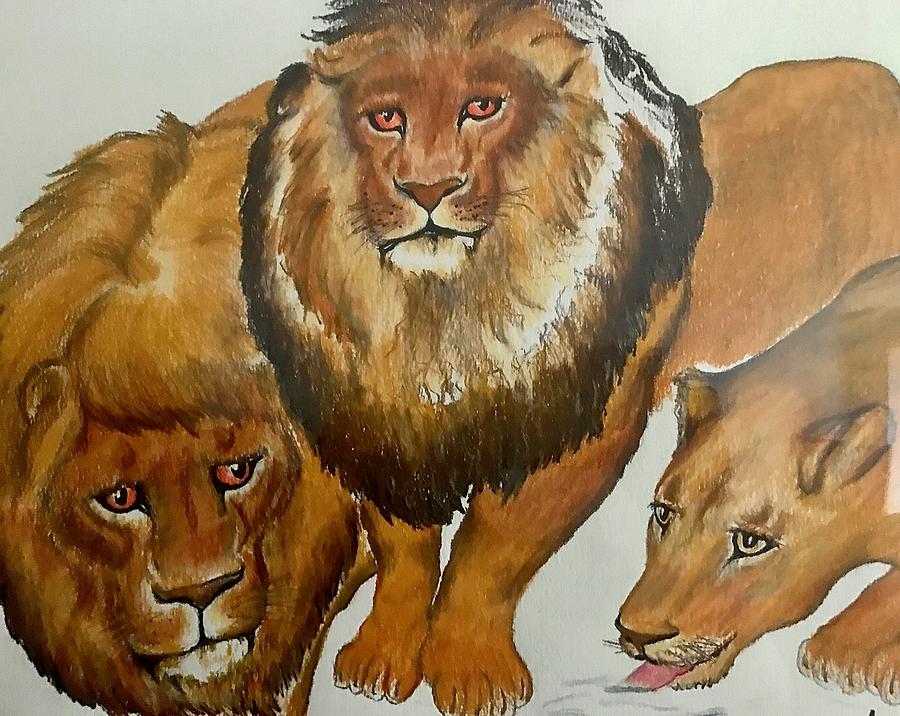 Lions Drawing by Angie ONeal