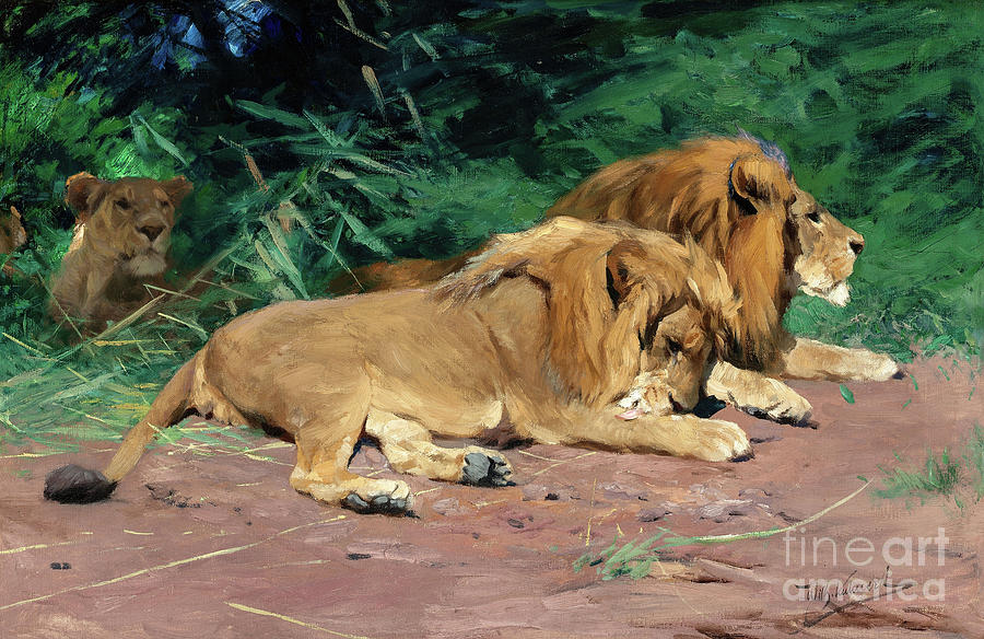 Lions at Rest - Wilhelm Kuhnert Painting by Sad Hill - Bizarre Los Angeles Archive