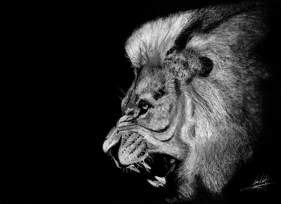 Lions Fury Drawing by James Schultz