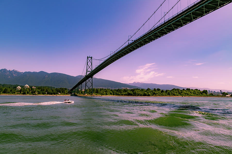 Lions Gate Bridge in Vancouver, BC Photograph by Cindy Robinson