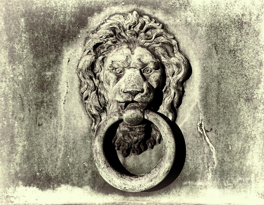 Lions Head Door Knocker Artistic Photograph by Paul Ward - Fine Art America