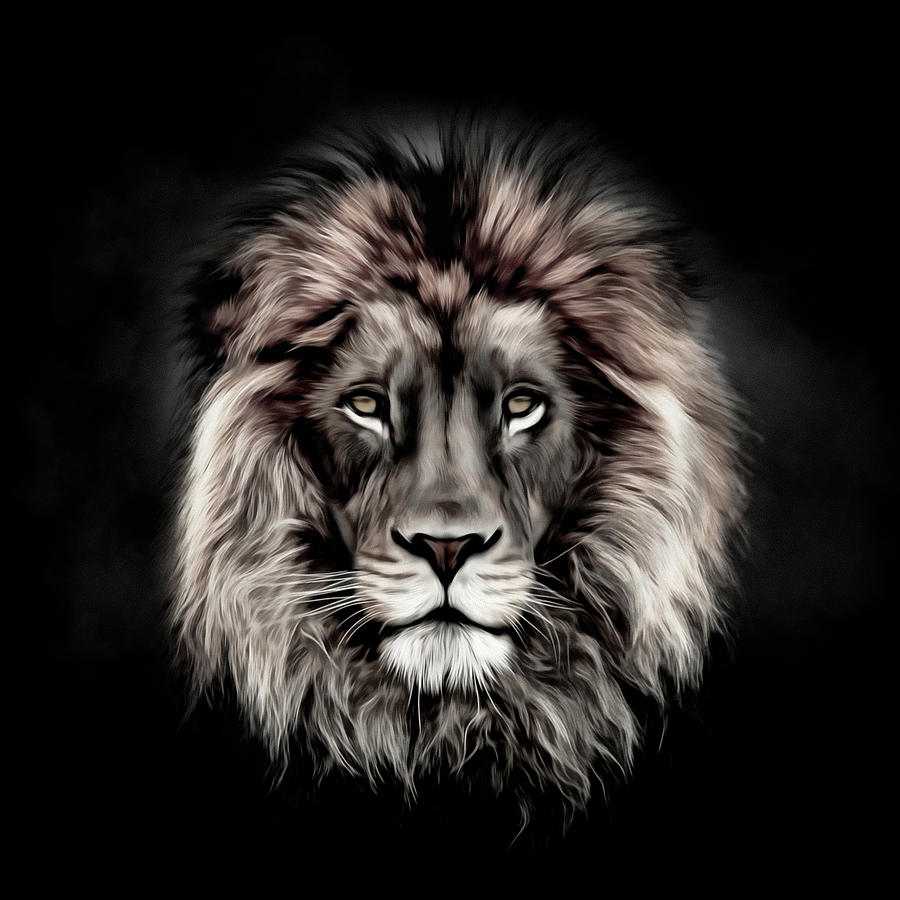 Lions Head Digital Art by Douglas Pittman