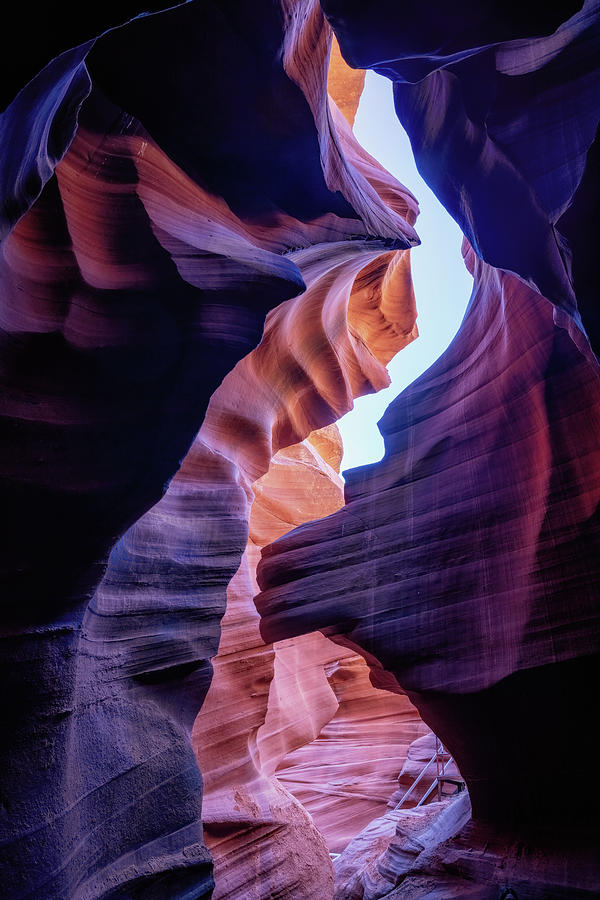 Lion's Head in the Lower Antelope Canyon Photograph by Alex Mironyuk ...