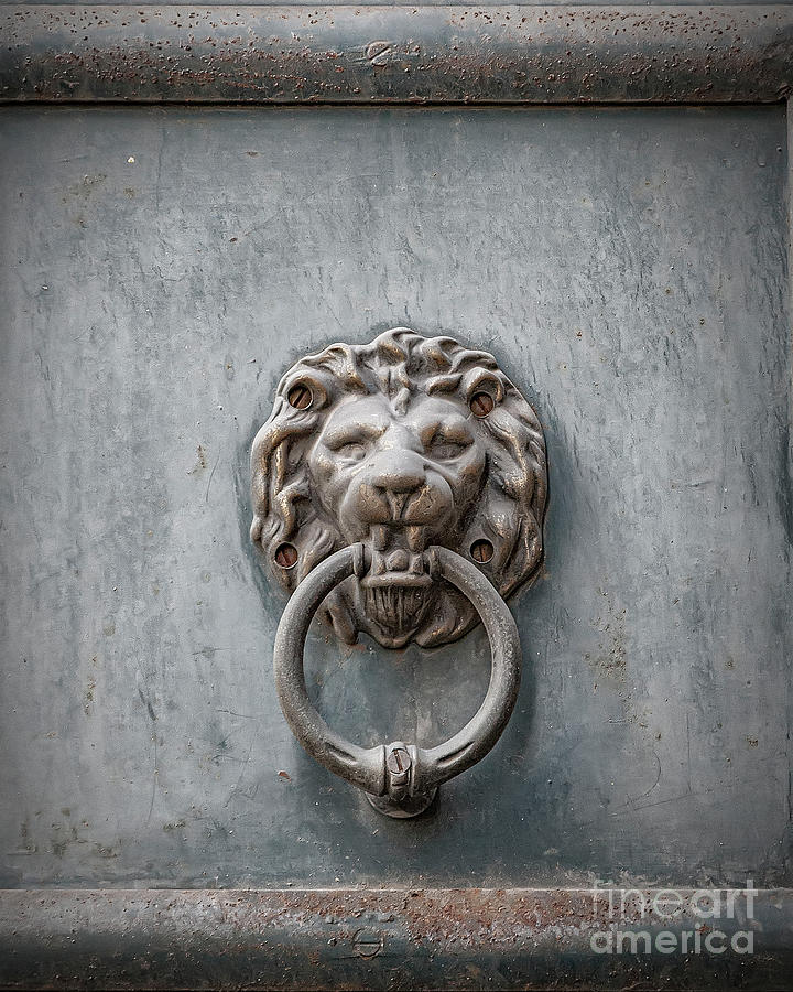 Lions Head Rusted Metal Door Knocker Photograph by Antony McAulay
