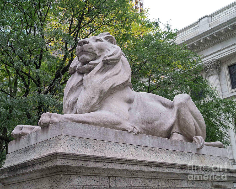 LIons New York Public Library Photograph by Edward Fielding