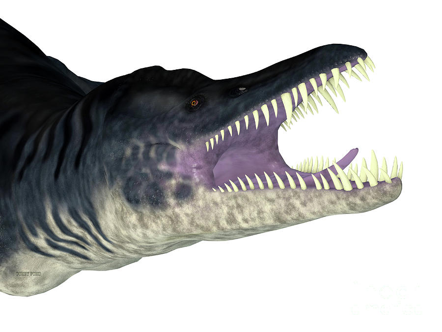 Liopleurodon Reptile Head Digital Art by Corey Ford
