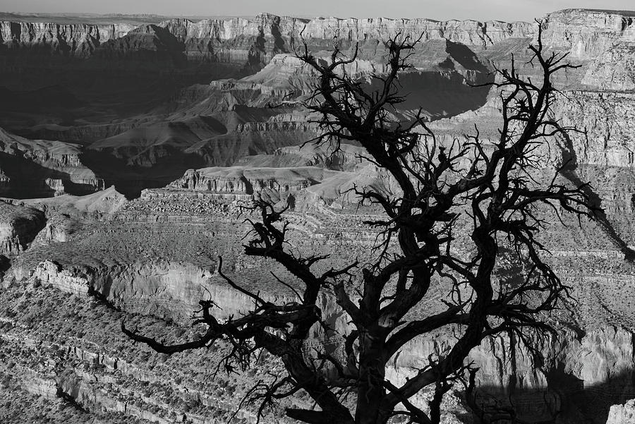 Lipan Overlook Grand Canyon 1 Bw Photograph