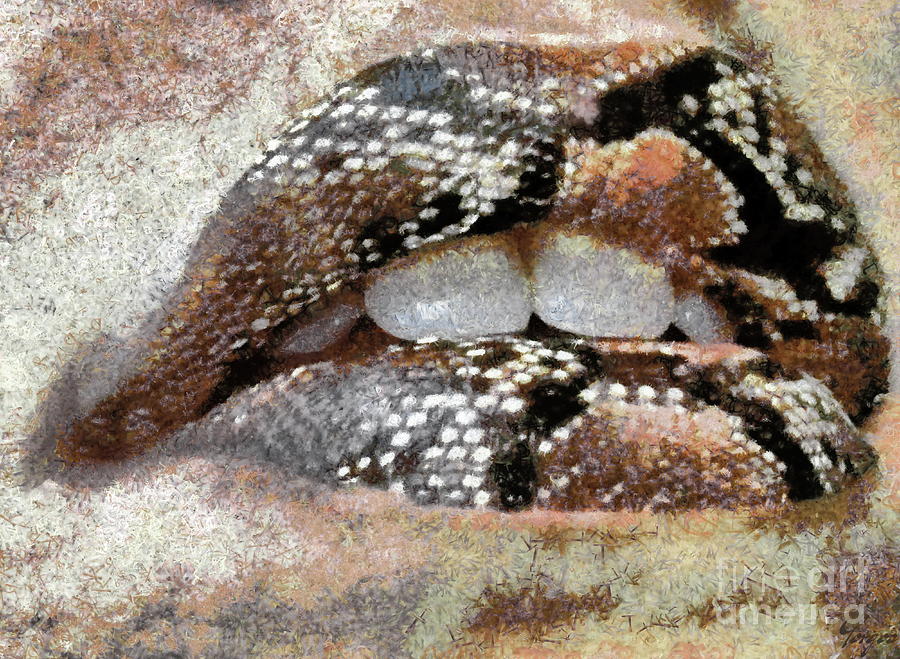 Snake Photograph -  Lips of Viper by Yorgos Daskalakis