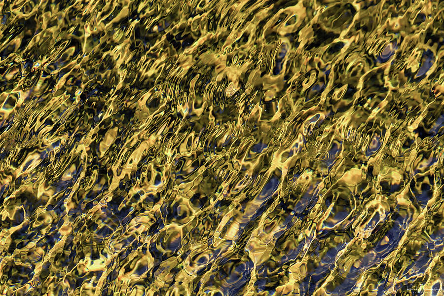 Liquid Gold Photograph by Rick Furmanek