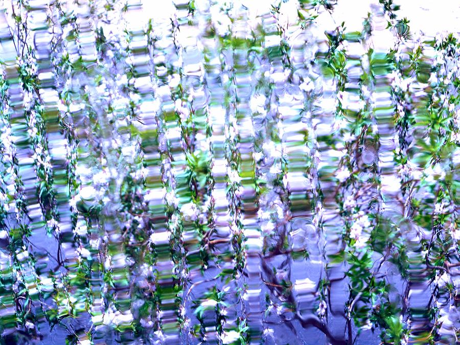 Liquid Mosaic Photograph by Dietmar Scherf