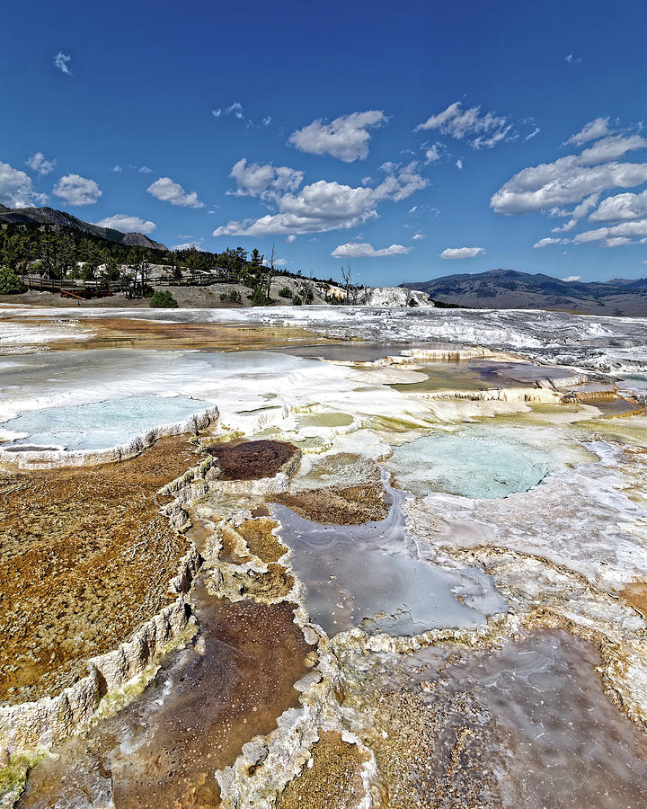 Liquid Stairway -- Main Terrace at Mammoth Hot Springs in Yellowstone National Park, Wyoming Photograph by Darin Volpe