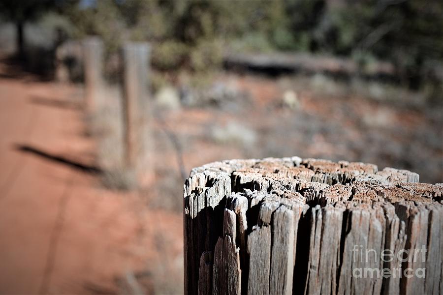 Listening to Fence Posts, Sedona Photograph by Leslie M Browning