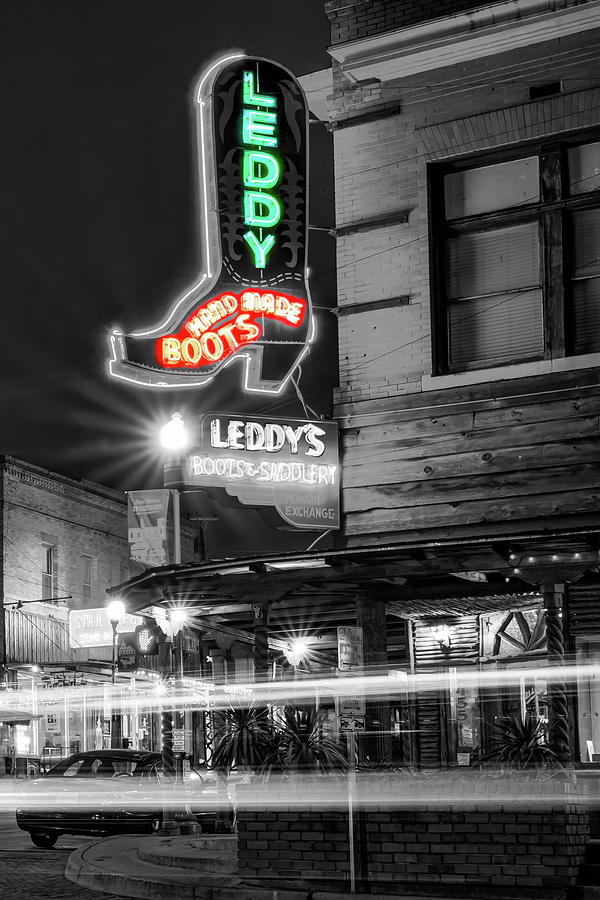 Lit Up Leddy - A Fort Worth Stockyards Tribute In Selective Color Photograph by Gregory Ballos