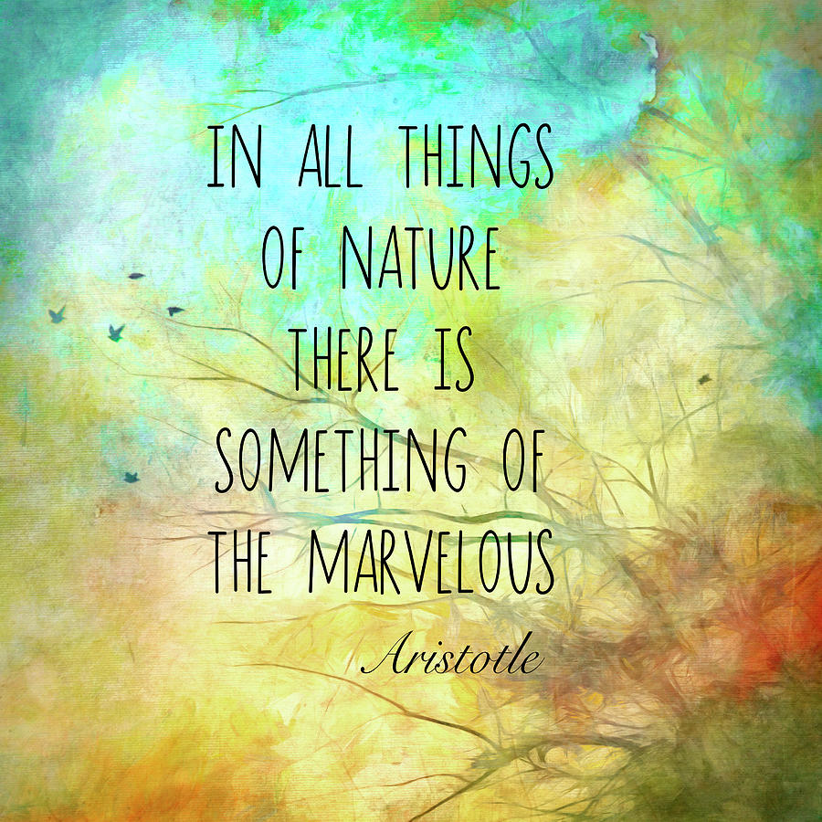 Literary Nature Aristotle Quote   Mixed Media by Ann Powell