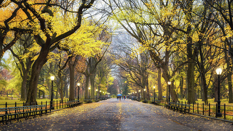 Central Park Photograph - Literary Walk in Autumn  by Randy Lemoine