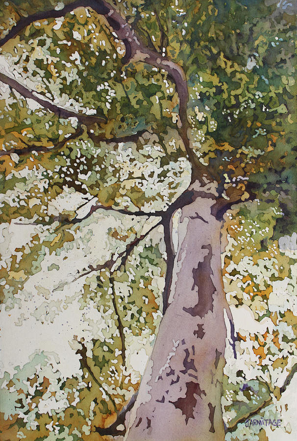Lithe Birch Painting by Jenny Armitage