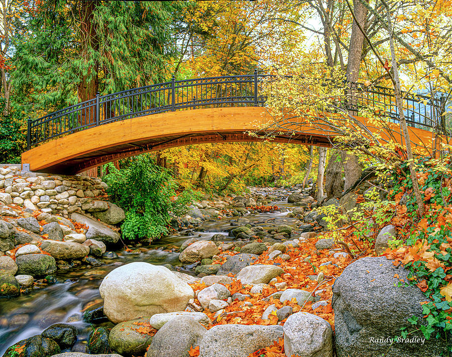 Lithia Park foot Bridge  Photograph by Randy Bradley