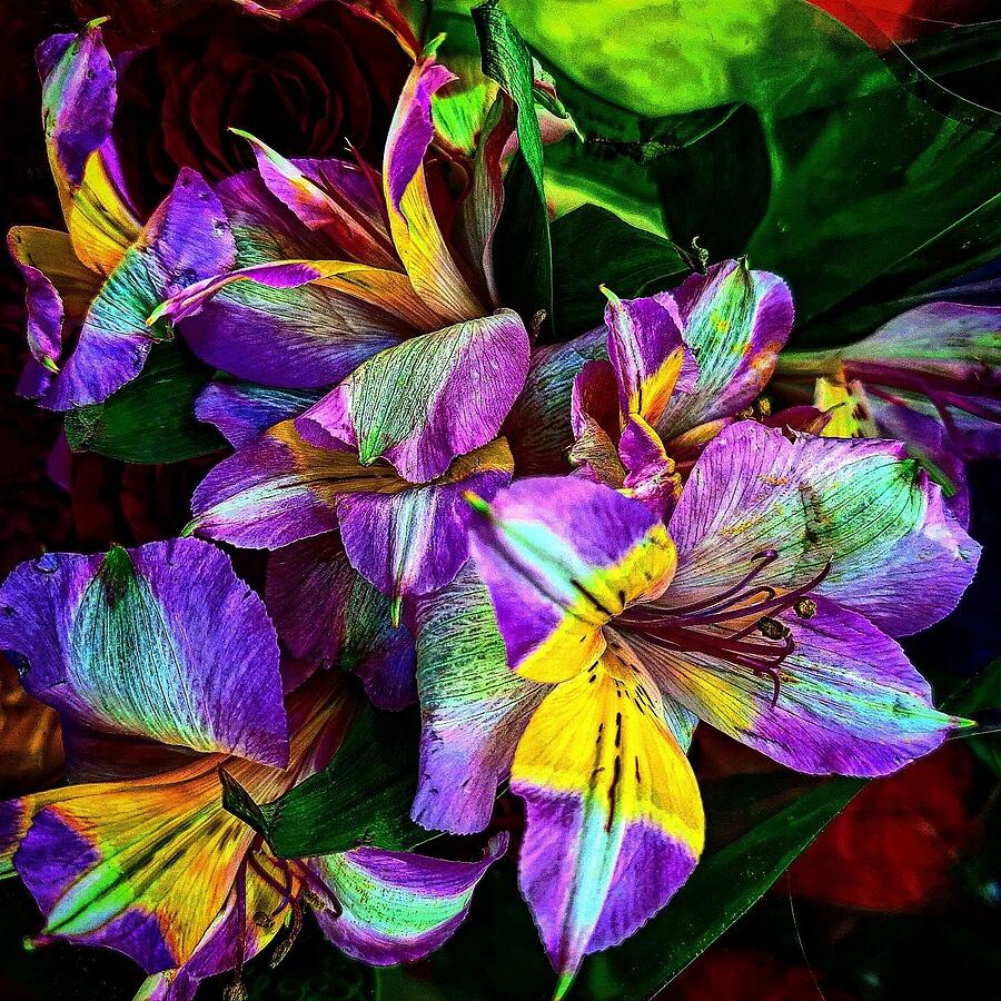 Litmus violet flowers Digital Art by Maria Heidi Trujillo Fine Art America