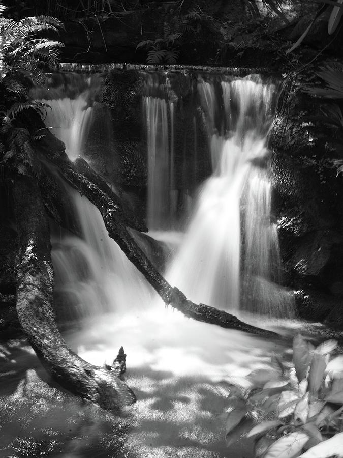 Little Waterfall Black And White Photograph by Christopher Mercer