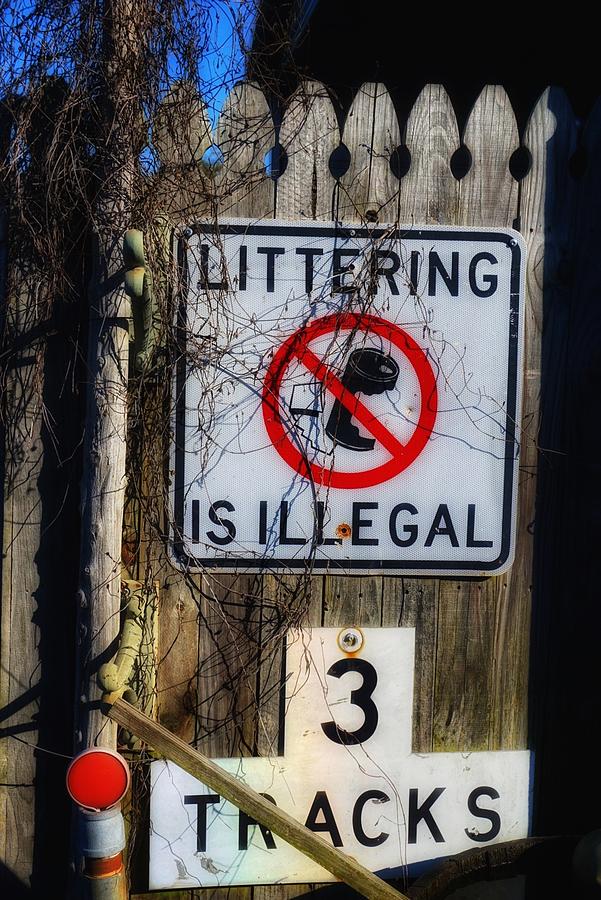 Littering Is Illegal Photograph by Patricia Greer