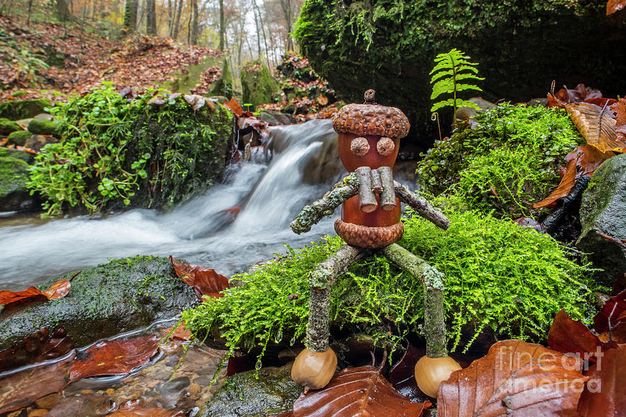 Little Acorn Man and Mountain Stream Photograph by Arterra Picture Library