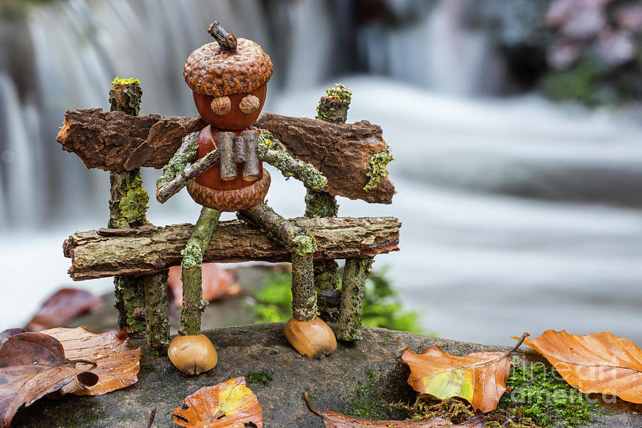 Little Acorn Man and Waterfall Photograph by Arterra Picture Library