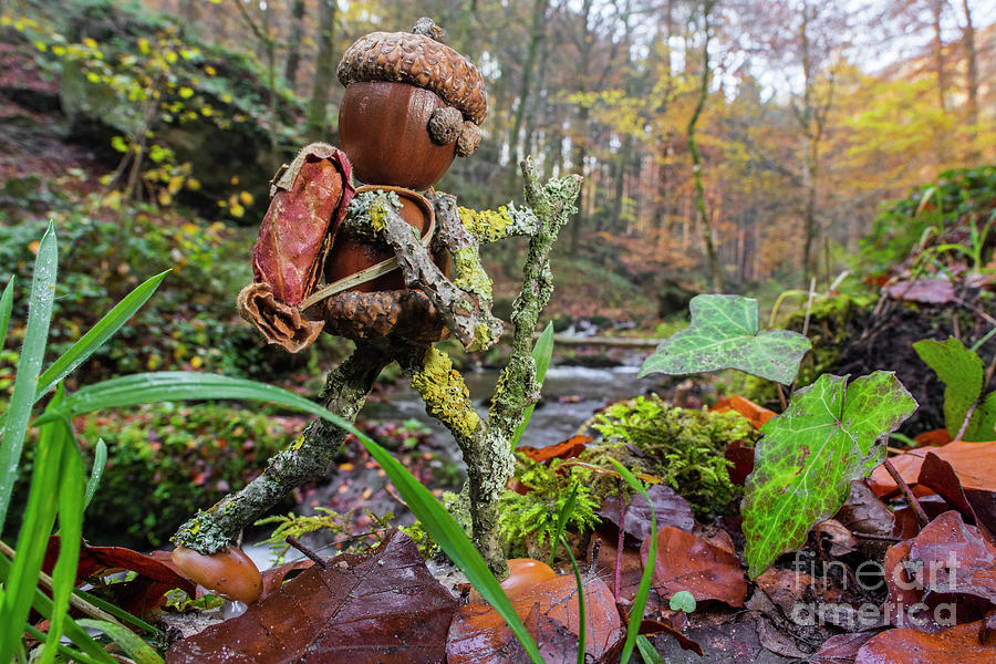Little Acorn Man Hiking in Forest Photograph by Arterra Picture Library