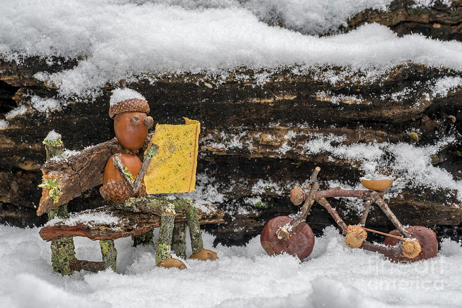 Little Acorn Man Reading Newspaper in the Snow Photograph by Arterra Picture Library